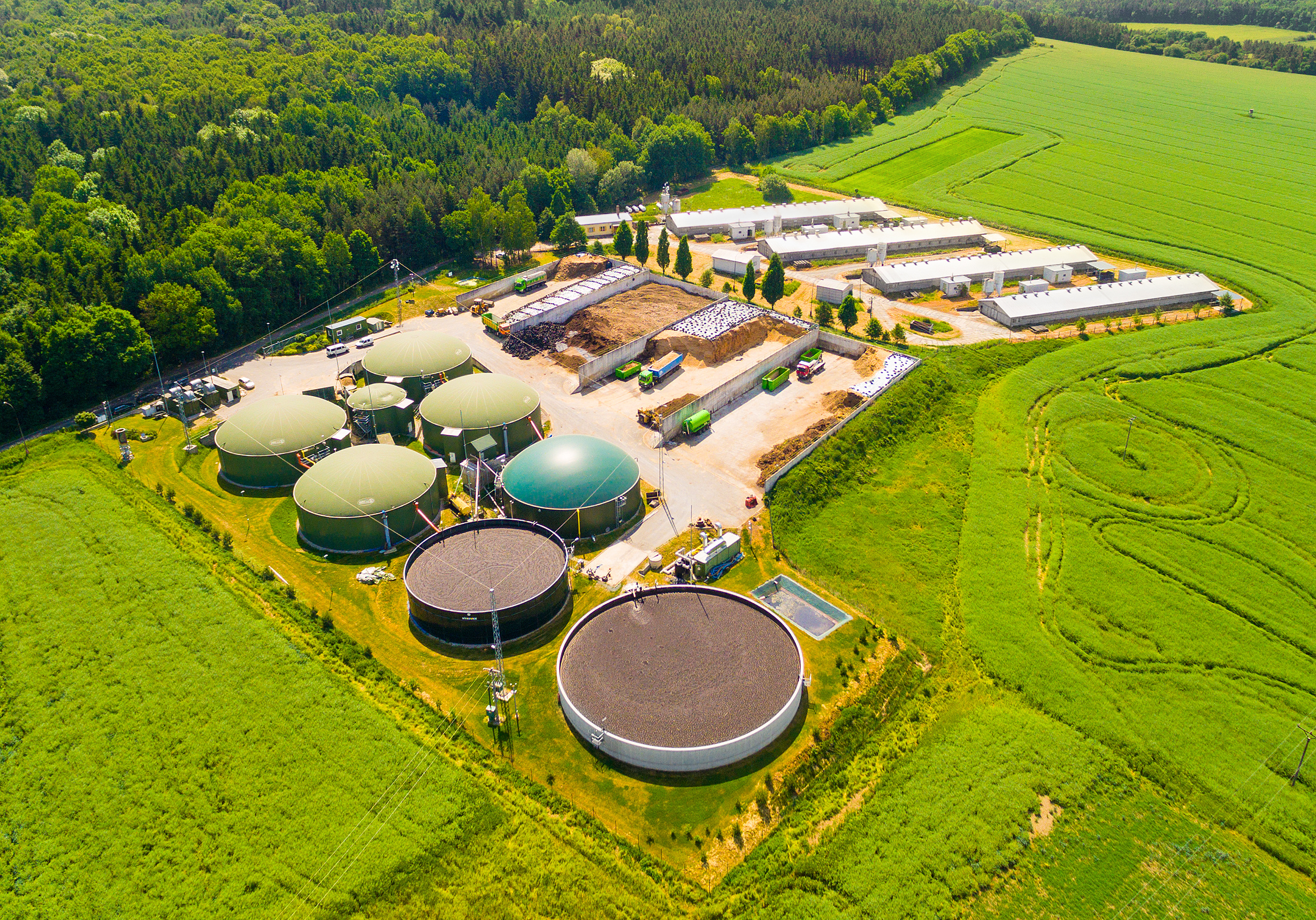 Digester tanks in an agricultural biogas plant