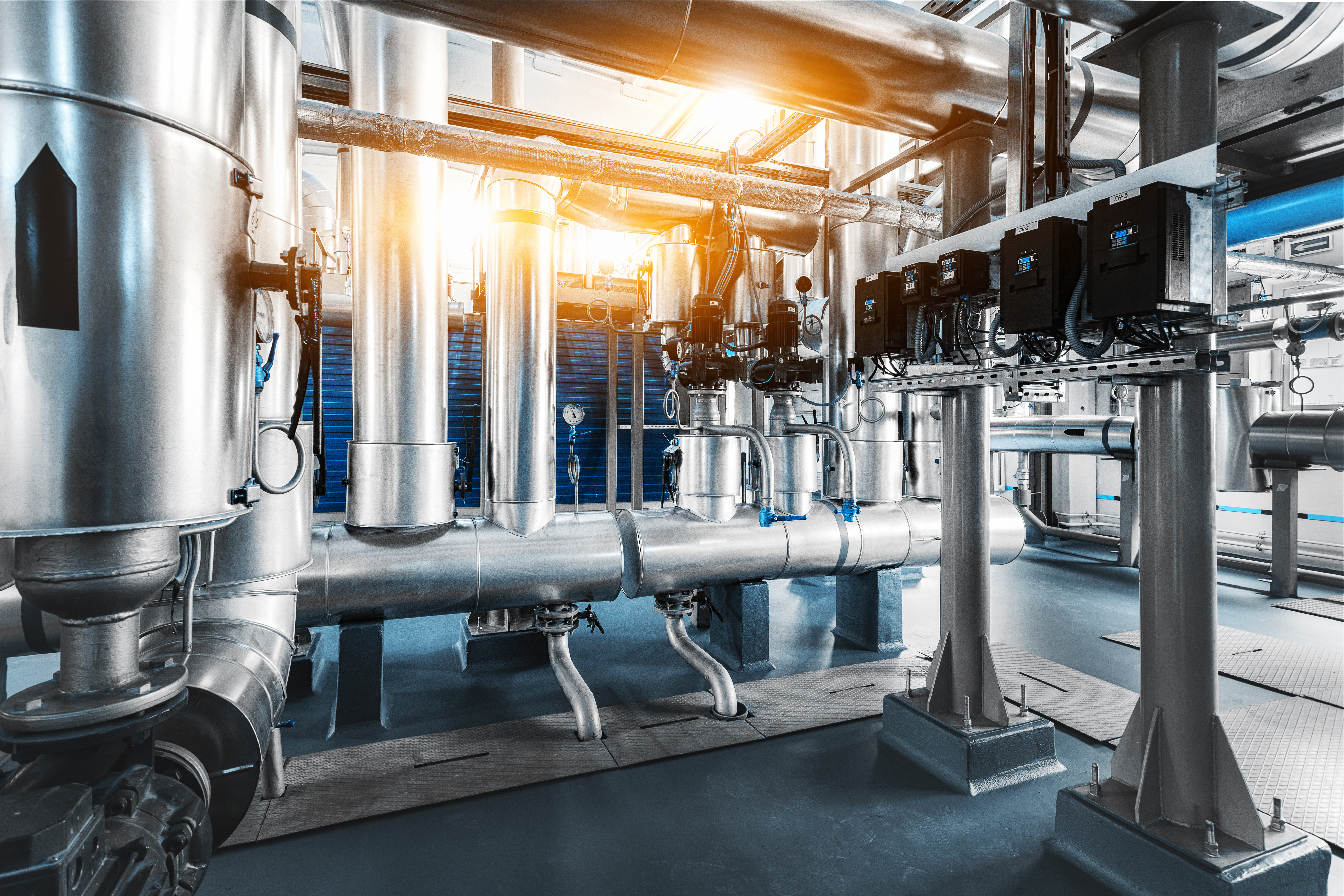 Biogas delivery and storage system