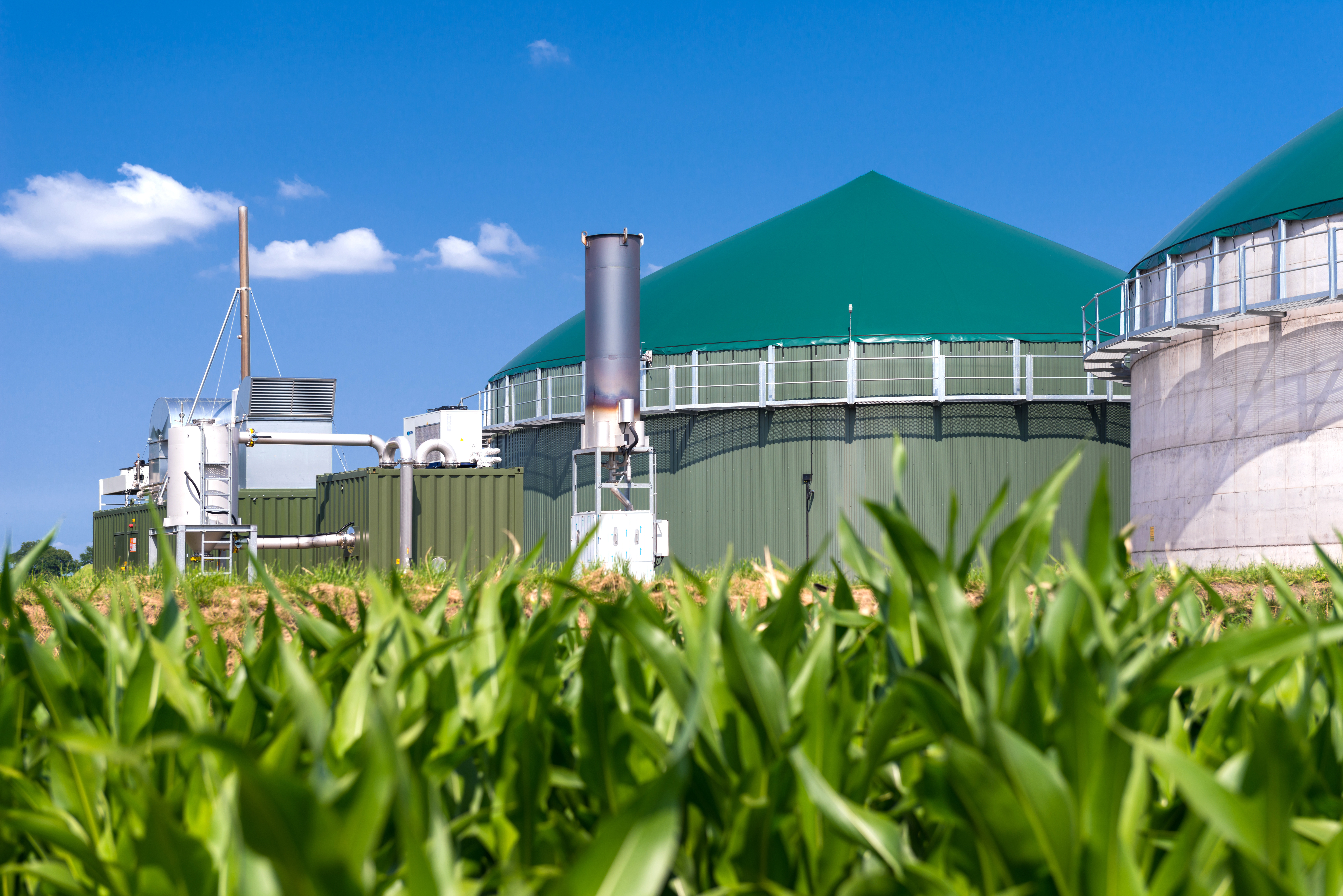 Renewable energy production facility