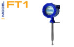 FT1 Flow Meter